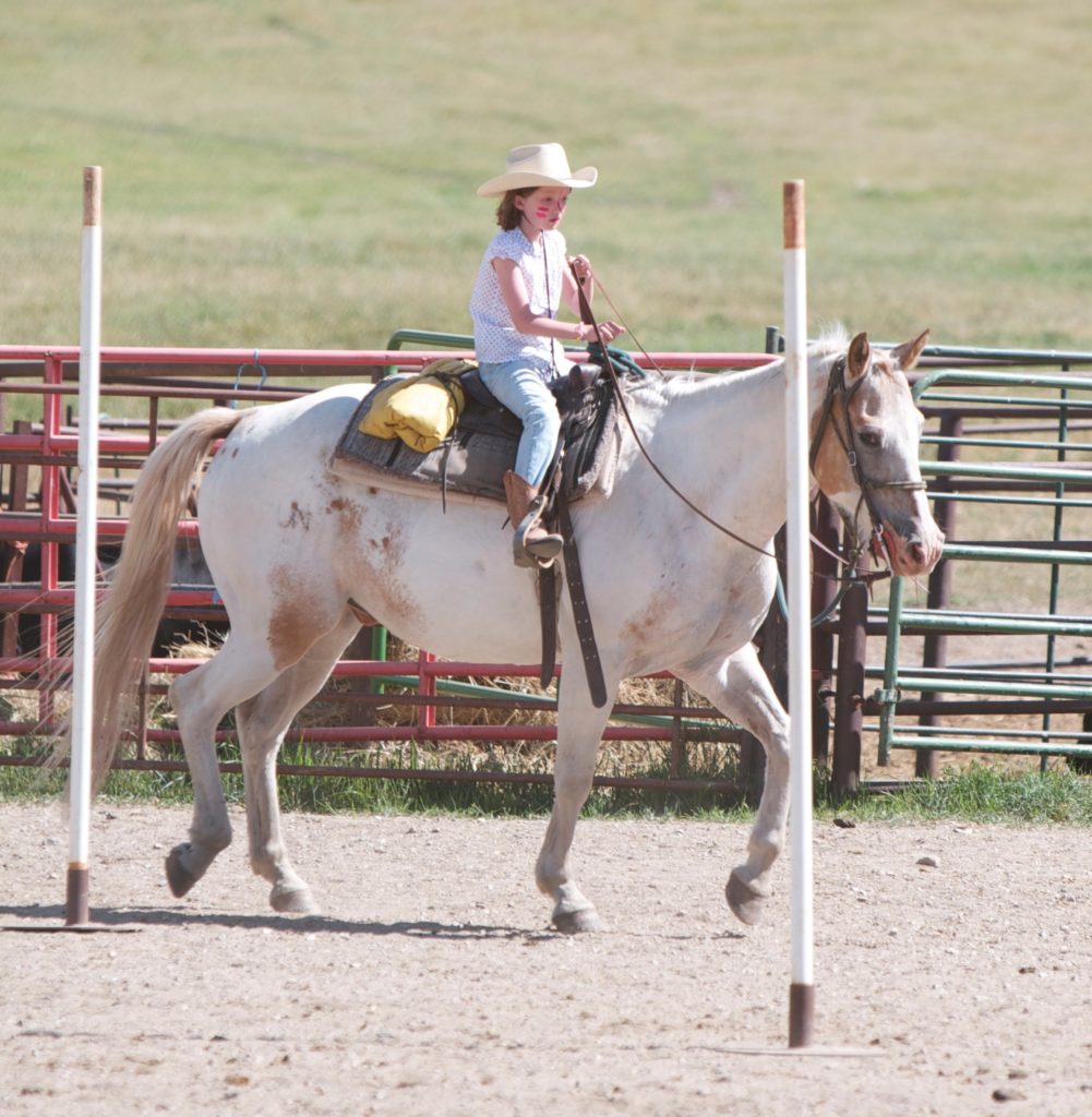 Family ranch holiday. Girl on horse in arena at Wyoming ranch. Copyright©2015 reserved to photographer. Contact mapandfamily.com