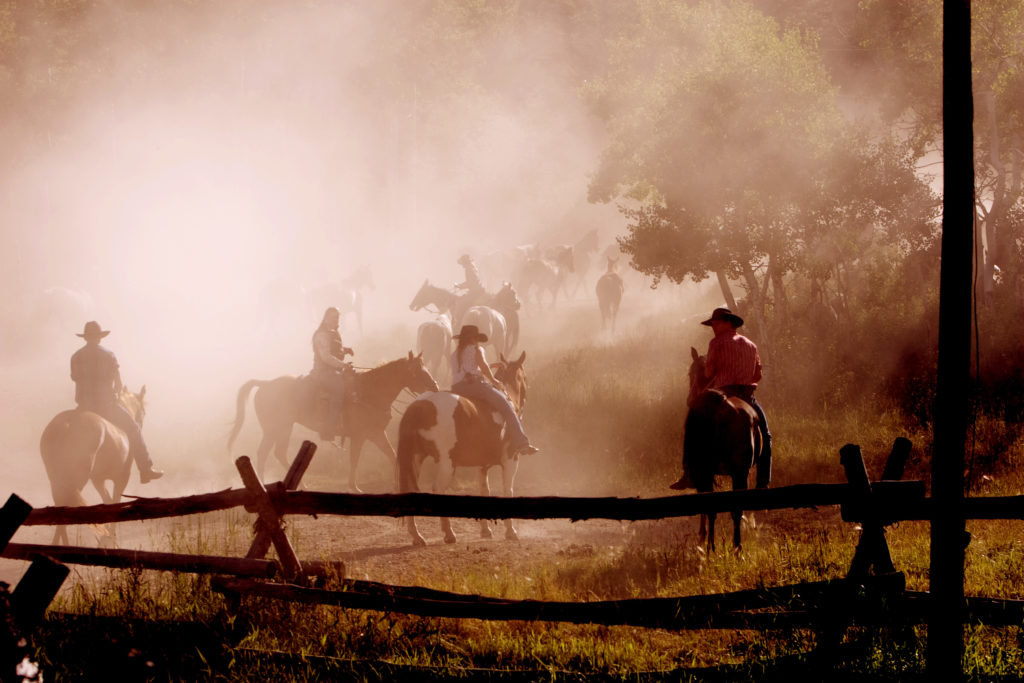 Family ranch holiday. Horses safely in the pasture Wyoming. Copyright©2015 reserved to photographer. Contact mapandfamily.com