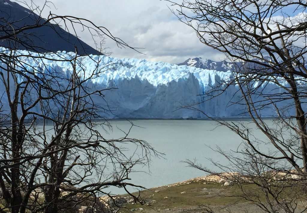 View of glacier through trees. Copyright©2015 reserved to photographer. Contact mapandfamily.com