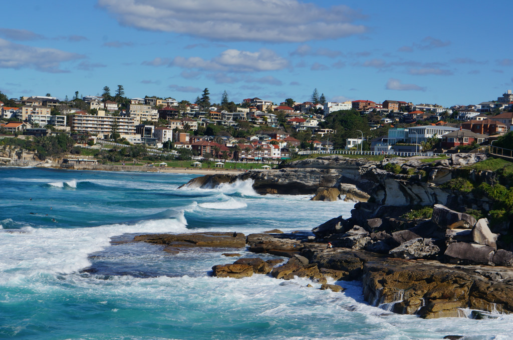 Coogee to Bondi photo