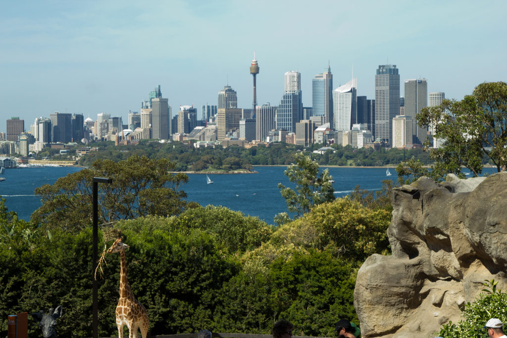 Wildlife Sydney Zoo at Darling Harbour Photo by kwb74 