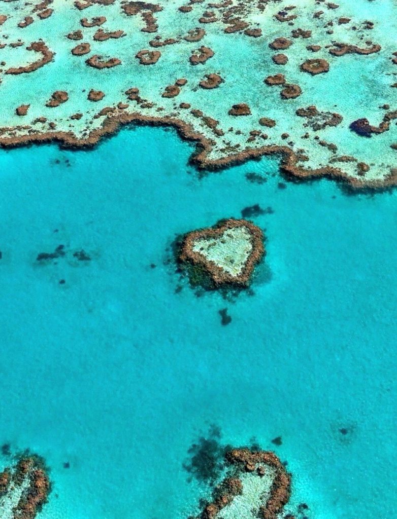 Day trip Great Barrier Reef Copyright©2016 reserved to the photographer. Contact mapandfamily.com