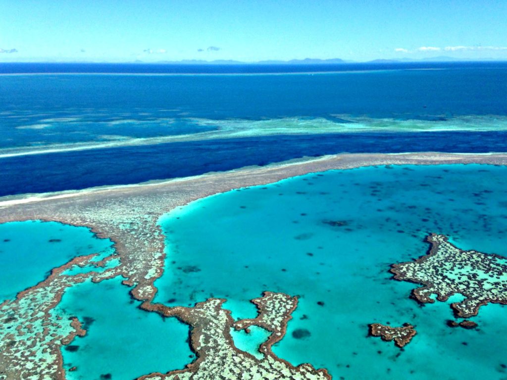 Day trip Great Barrier Reef Copyright©2016 reserved to the photographer. Contact mapandfamily.com