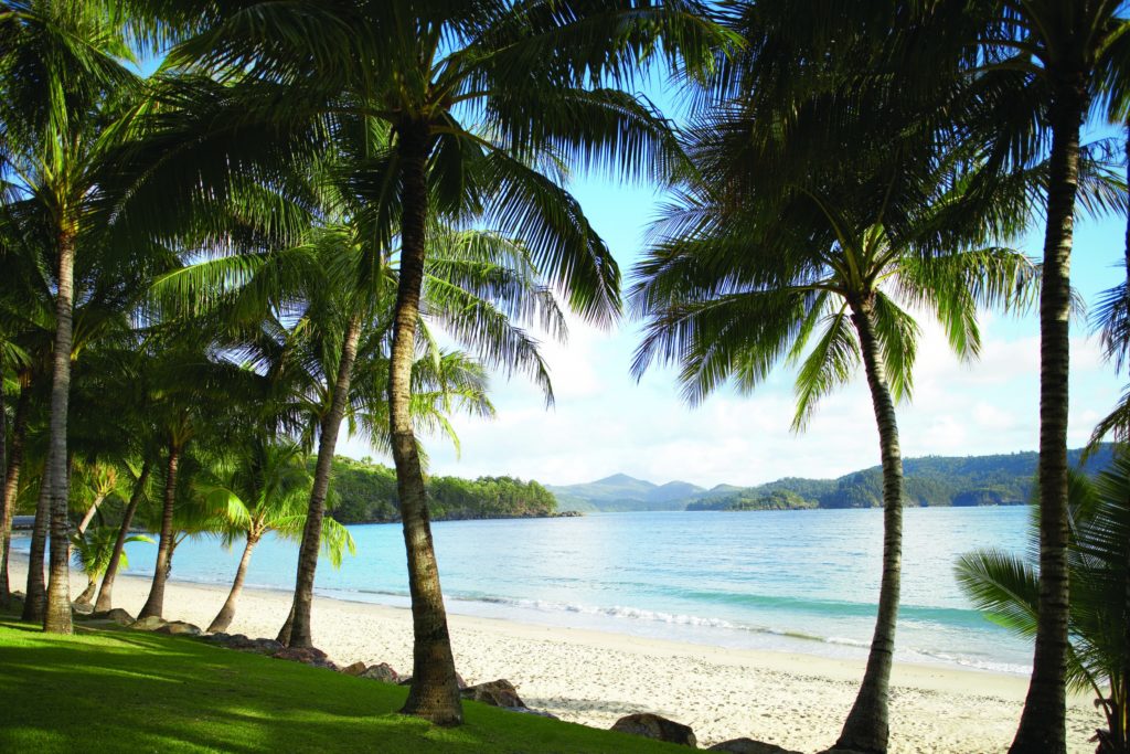 Hamilton Island Catseye Beach 