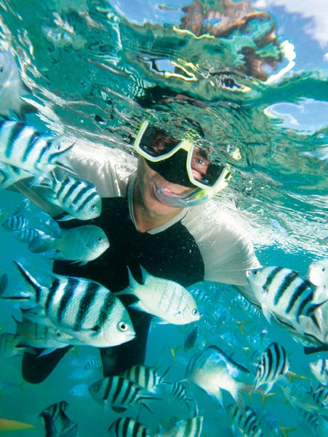 A Day Trip to the Great Barrier Reef