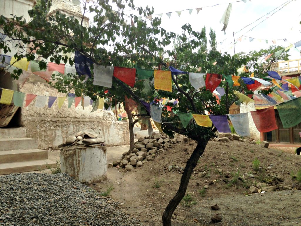 Things to do in Ladakh. Prayer flags in tree. Copyright©2017 reserved to photographer via mapandfamily.com