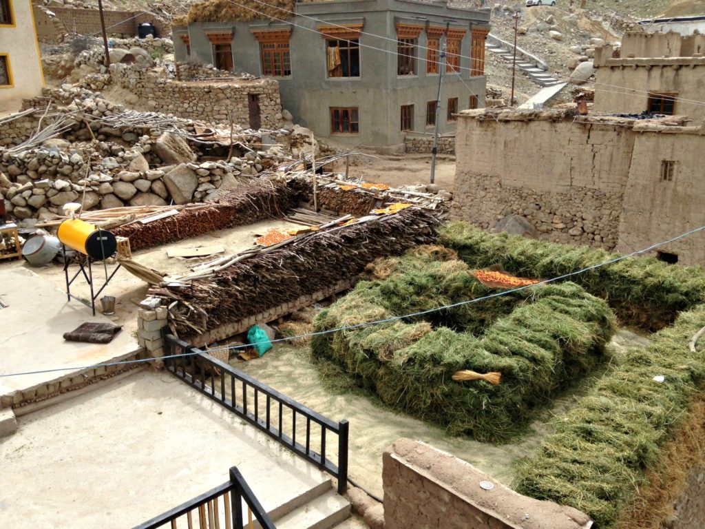 ladakh family trip village rooftops Copyright©2017 reserved to photographer via mapandfamily.com