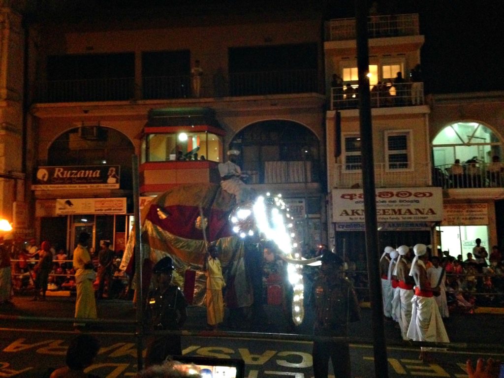 Places to Visit in Sri Lanka on a family trip. Nighttime parade with elephants in Kandy. Copyright©2017 reserved to photographer via mapandfamily.com 