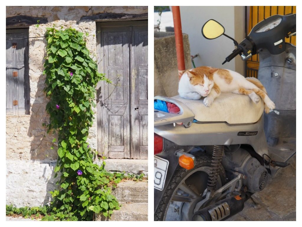 An old doorway and a sleeping cat in Lakka  Paxos. Copyright©2017 mapandfamily.com 