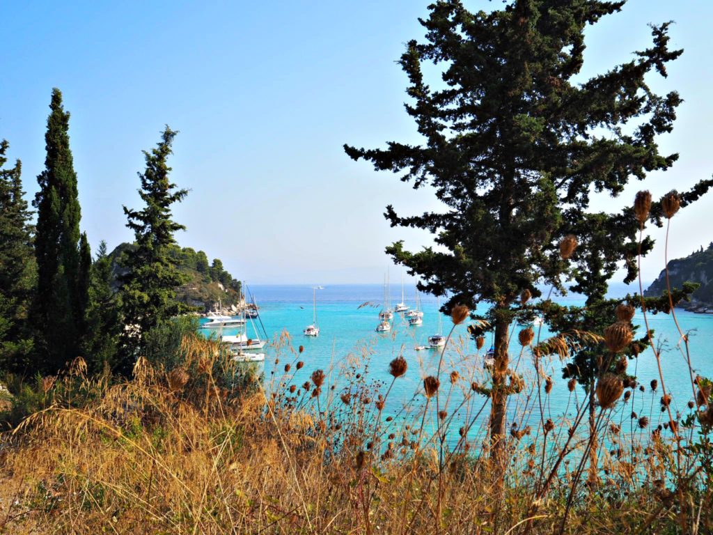 Paxos villa holiday. Path to Lakka showing view of bay through trees. Copyright © 2017 mapandfamily.com 