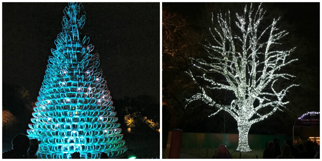 Christmas at Kew Gardens London, festive trees. Copyright©2017 reserved to photographer via mapandfamily.com 