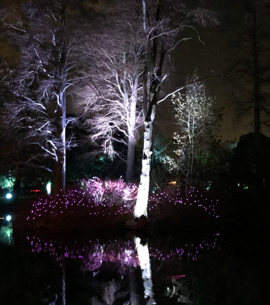 Christmas at Kew Gardens London,lake reflections. Copyright©2017 reserved to photographer via mapandfamily.com 