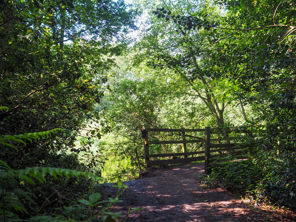 Things to do in Wimbledon London, a corner of Wimbledon Common by footbridge over a pond. Copyright@2023mapandfamily.com 