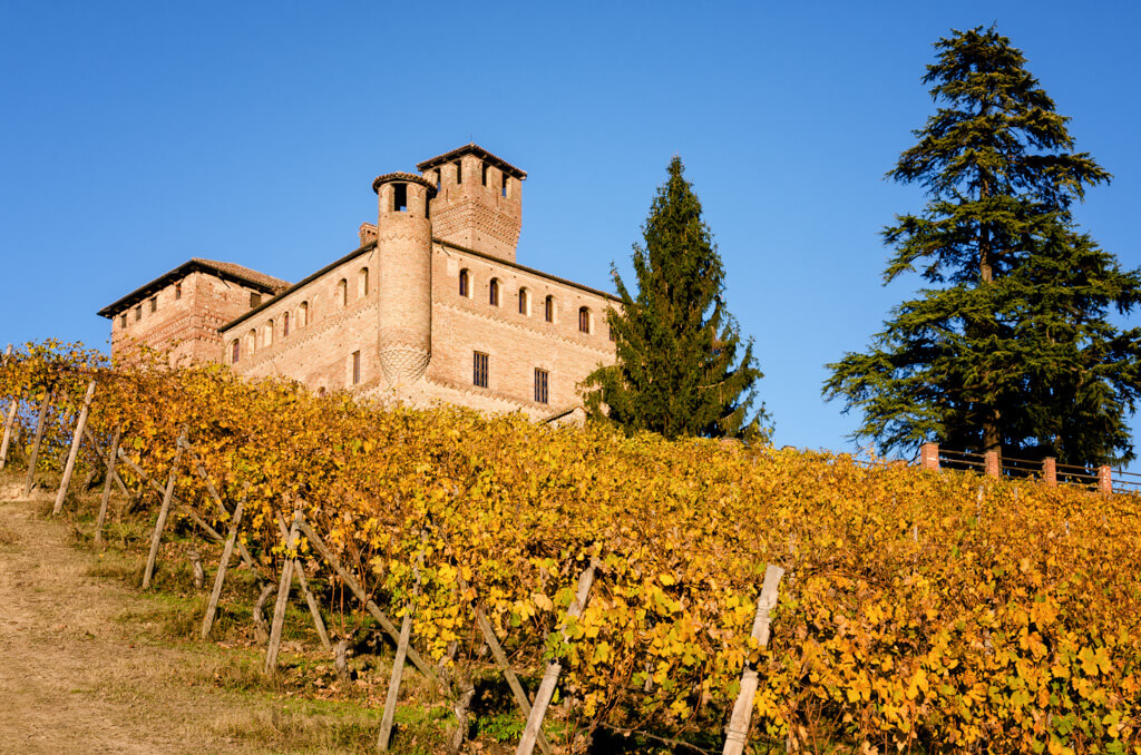 Things to do in Piedmont include visiting medieval castles like the honey-coloured stone built Castello di Grinzane Cavour above rows of vines, against blue sky. Copyright: DepositPhotos