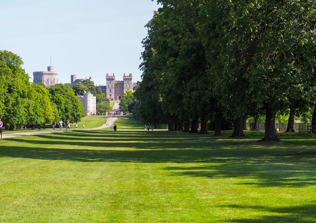 A mature avenue of trees casting a shadow across a broad swathe of grass beside the Long Walk Windsor. Copyright@2023 mapandfamily.com